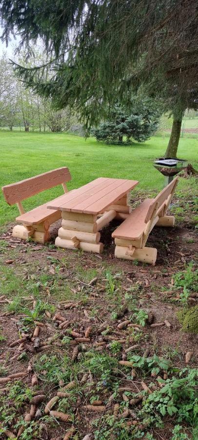 Ferienwohnung Raabsteine Bad Gottleuba-Berggiesshuebel ภายนอก รูปภาพ