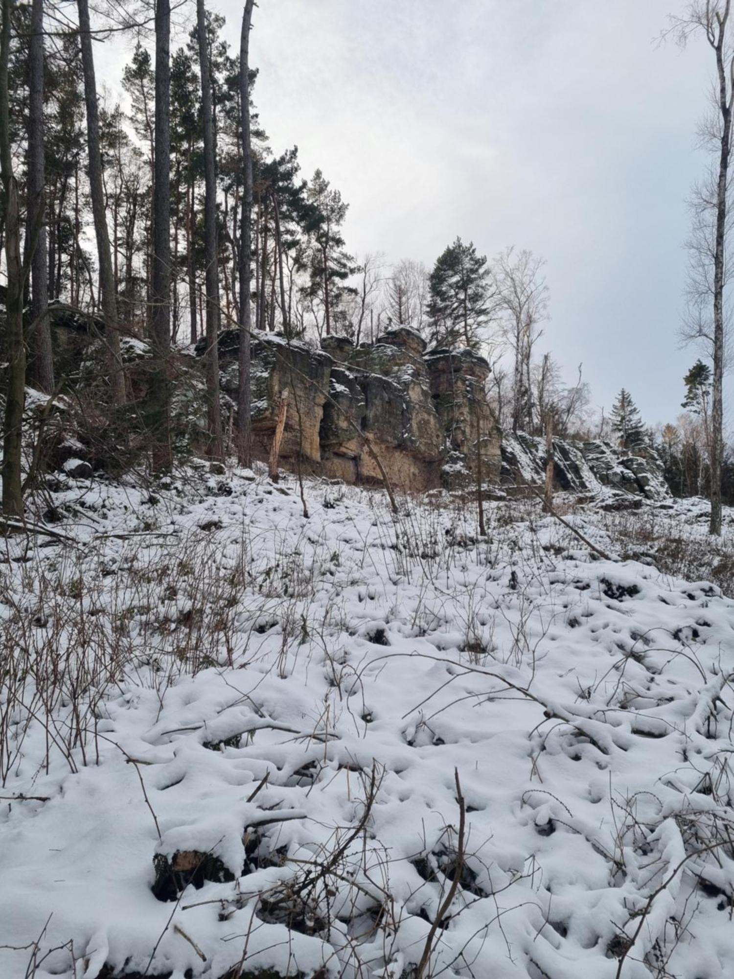 Ferienwohnung Raabsteine Bad Gottleuba-Berggiesshuebel ภายนอก รูปภาพ