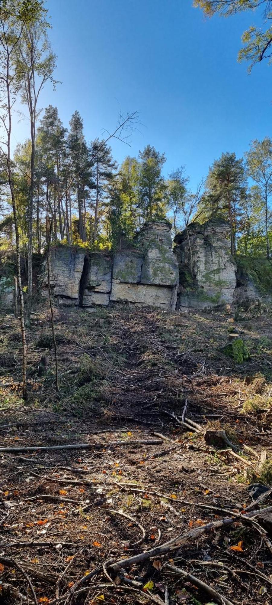 Ferienwohnung Raabsteine Bad Gottleuba-Berggiesshuebel ภายนอก รูปภาพ